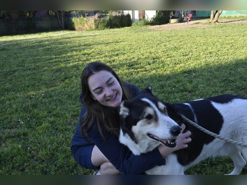 Giangy - Ich hätte da noch Kapazitäten frei