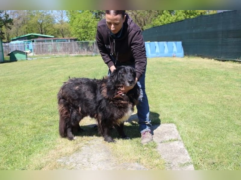 Quennel - Black velvet, oder...