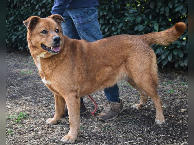 Vivaldo - ...steht vor der falschen Tür