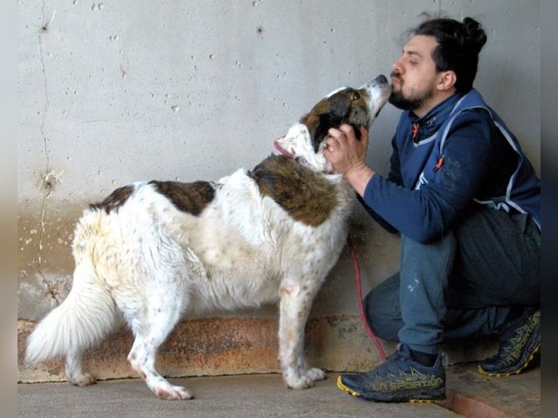 Jontar - Die Geschichte, die keiner liest