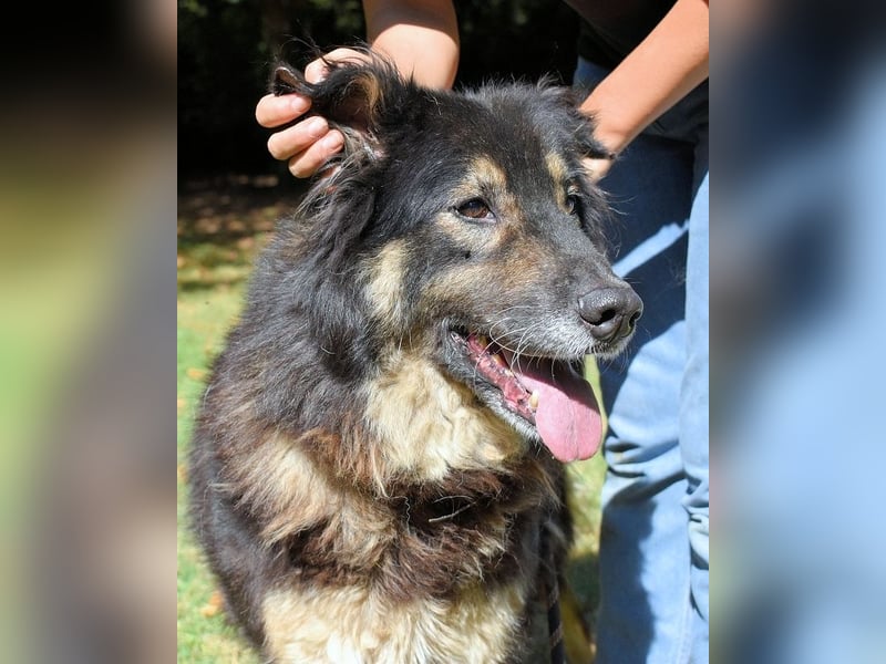 Carolita - und du - ein Dreamteam