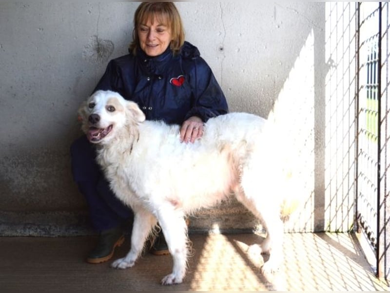 Gualter - und der staubige, unsichtbare Koffer