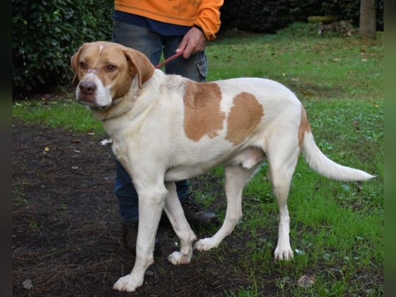 Jamison - möchte glücklich sein