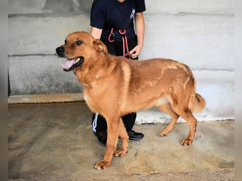 Antwin - irgendwo ist alles schön!