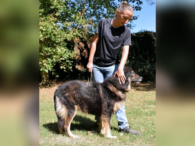 Carolita - und du - ein Dreamteam