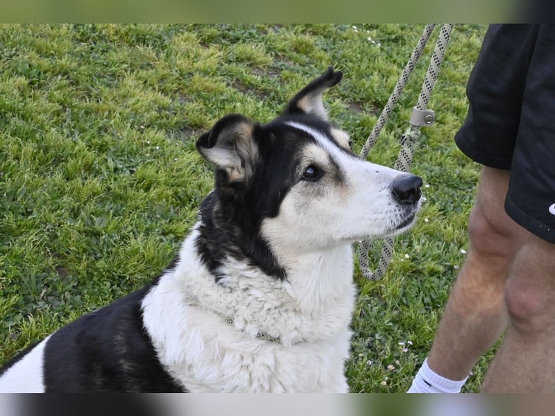 Giangy - Ich hätte da noch Kapazitäten frei