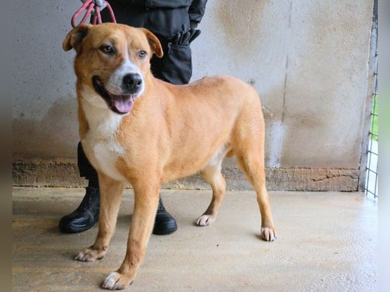 Spielberg - Der Dreh seines Lebens Spielberg - Der Dreh seines Lebens