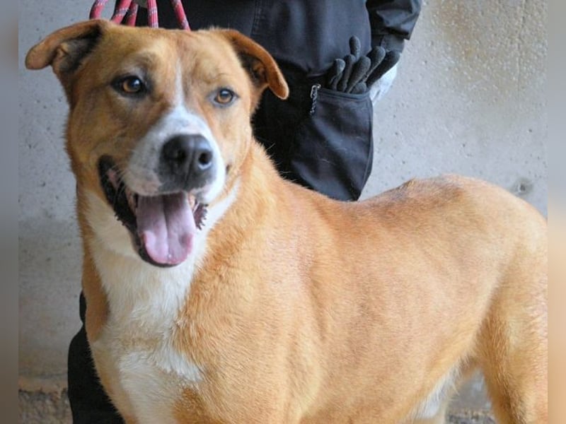 Spielberg - Der Dreh seines Lebens Spielberg - Der Dreh seines Lebens