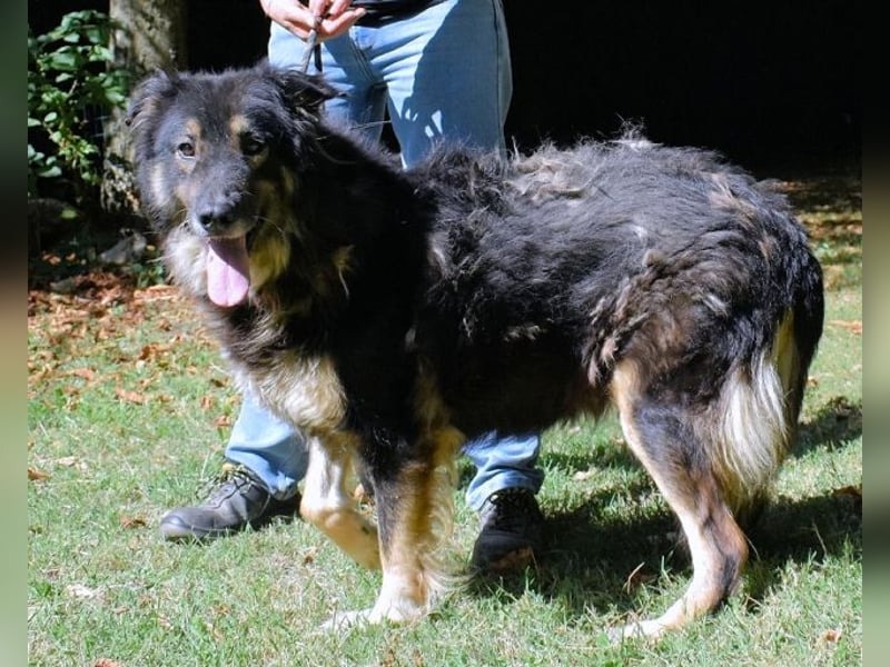Carolita - und du - ein Dreamteam