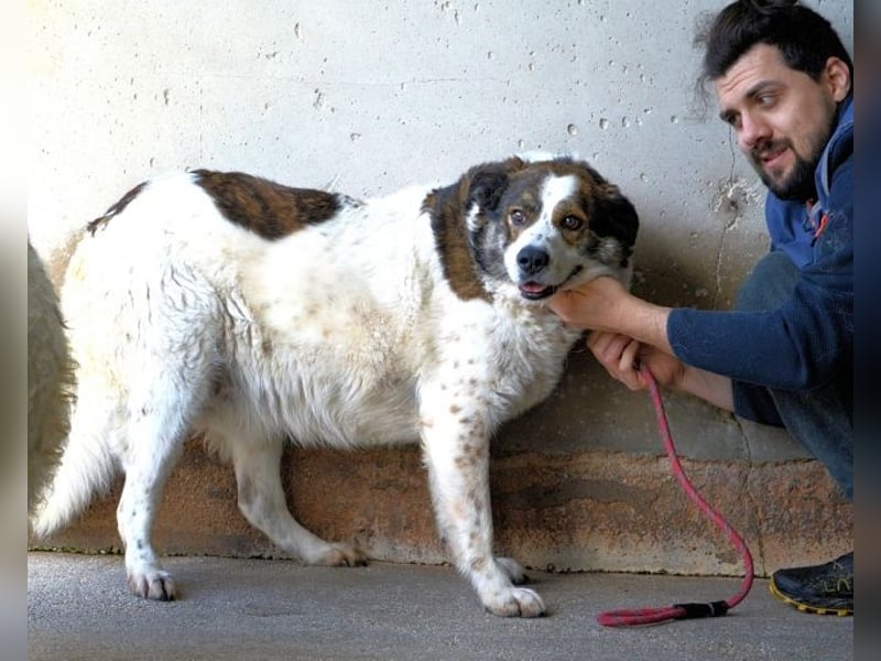 Jontar - Die Geschichte, die keiner liest