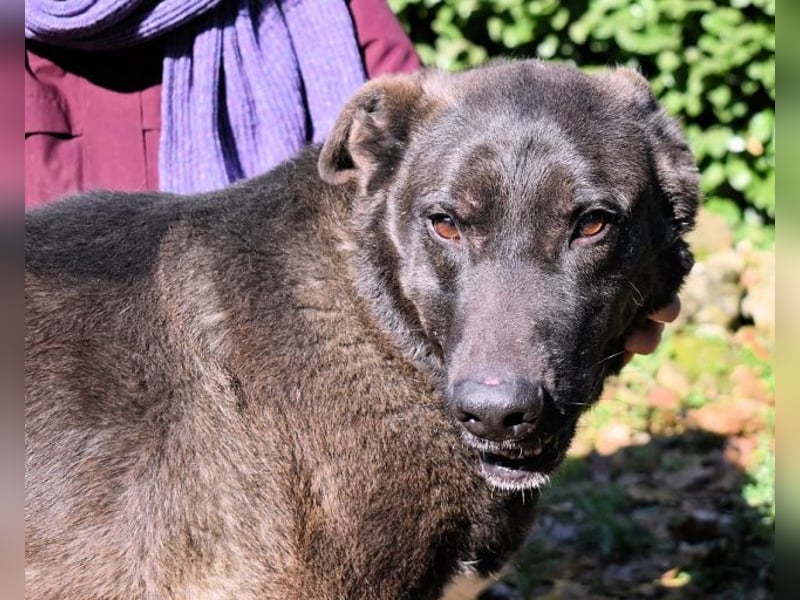 Godfried - When the night has come