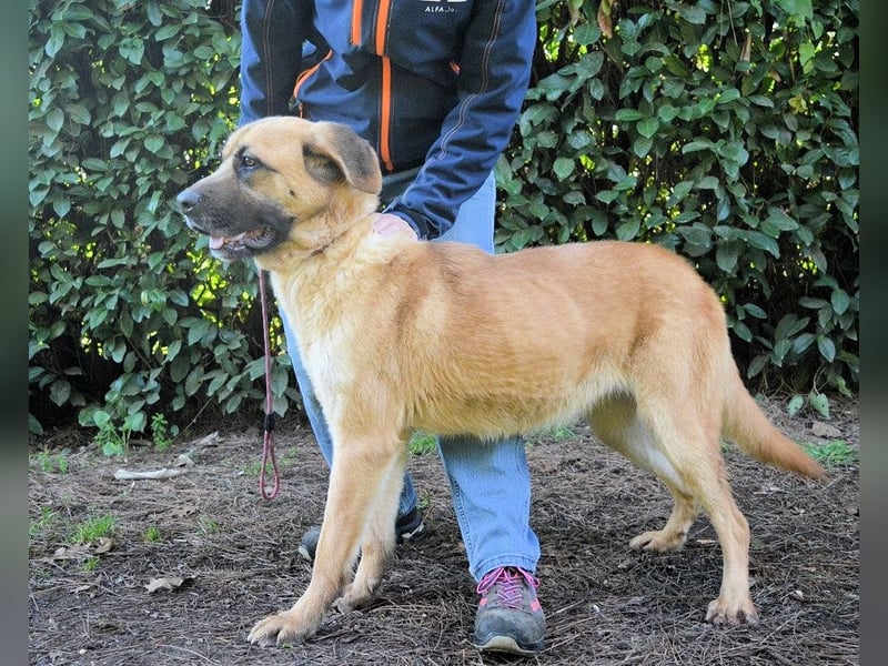 Adhara - Möchte ihre Energie versprühen