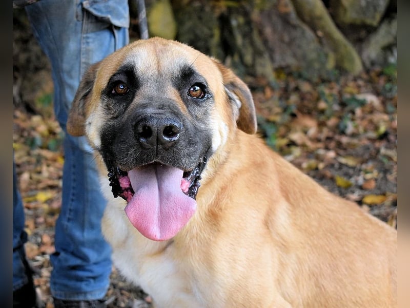 Joonas - wohin führt sein Weg?