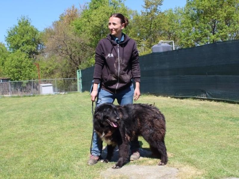 Quennel - Black velvet, oder...