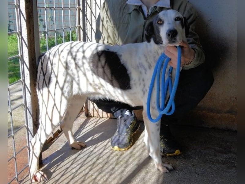 Arleene - ist voll bedingungsloser Liebe