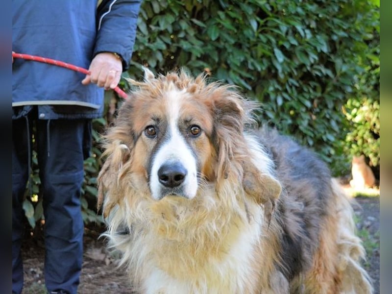 Kito - Irgendwas das bleibt