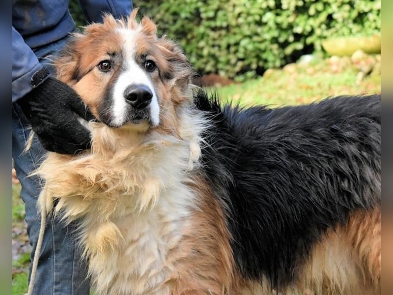 Kito - Irgendwas das bleibt