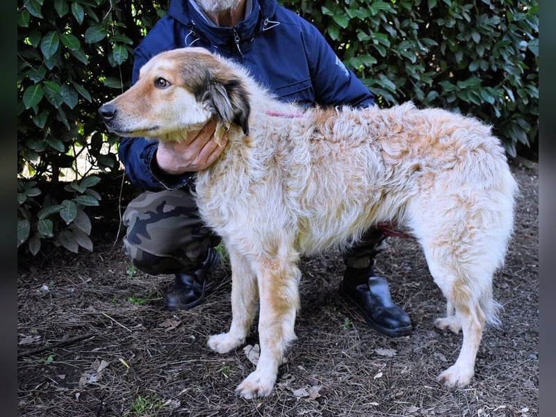 Ligorio - Zwölf, elf, zehn ... eins - Ligorio