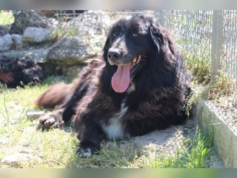 Quennel - Black velvet, oder...