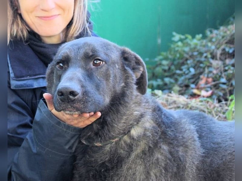 Godfried - When the night has come