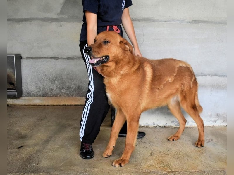 Antwin - irgendwo ist alles schön!