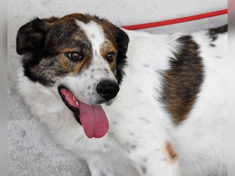 Jontar - Die Geschichte, die keiner liest