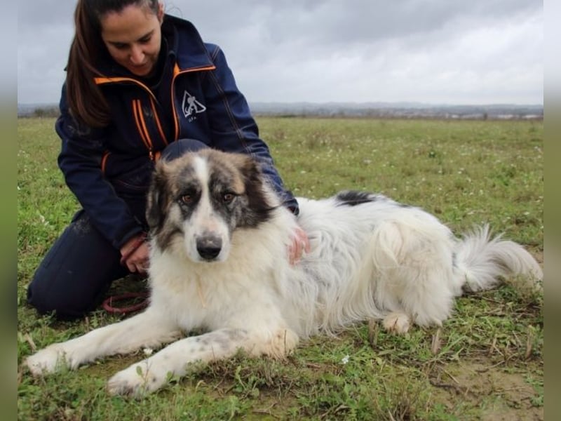 Poncio - wird zum Musterschüler