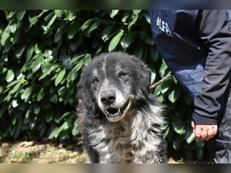 Declan - Irgendwie, irgendwo, irgendwann?