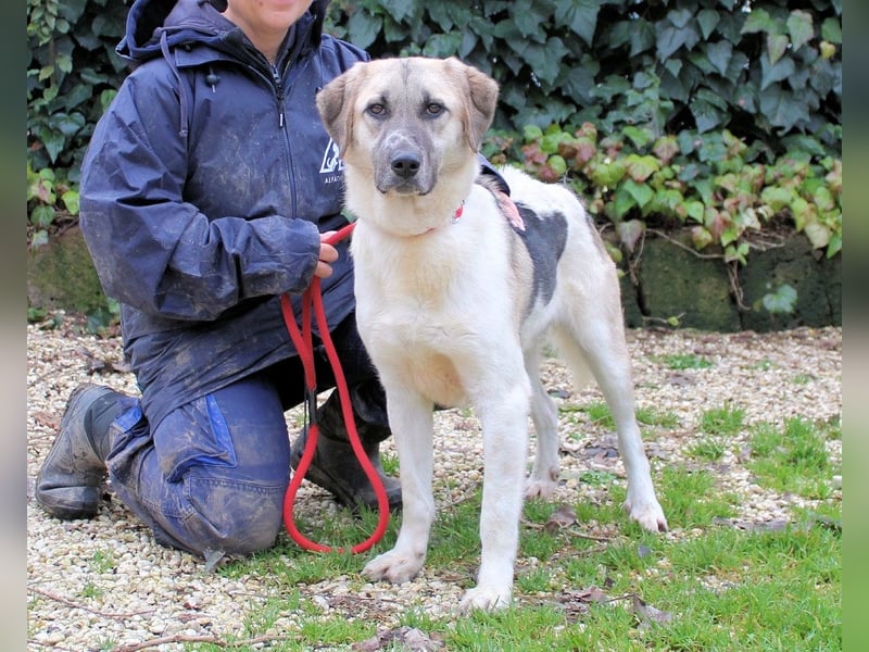 Skitter - Im gedimmten Licht, vor einer geschlossenen Tür