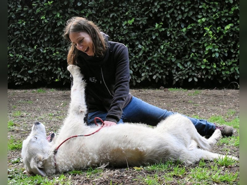 Ozlo - Riesenbaby sucht Freund fürs restliche Leben