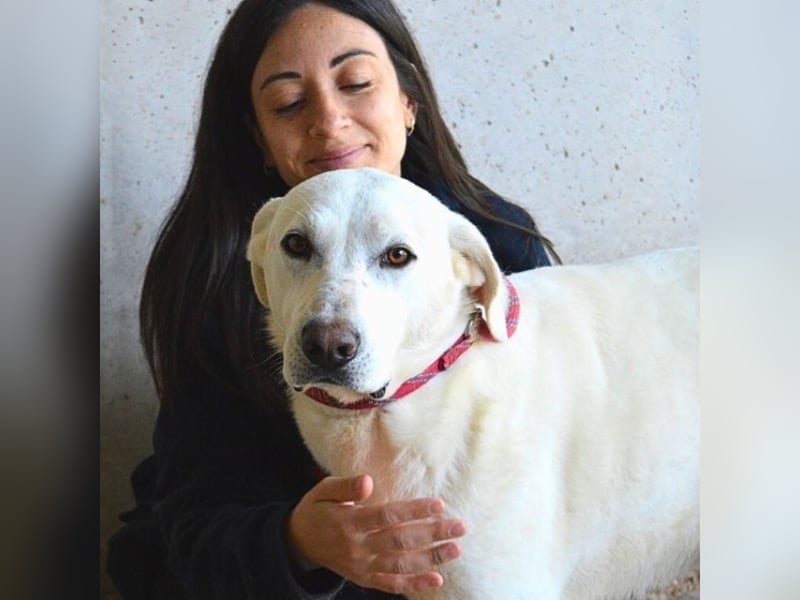 Armindo - Warteschleife, bitte nicht auflegen!