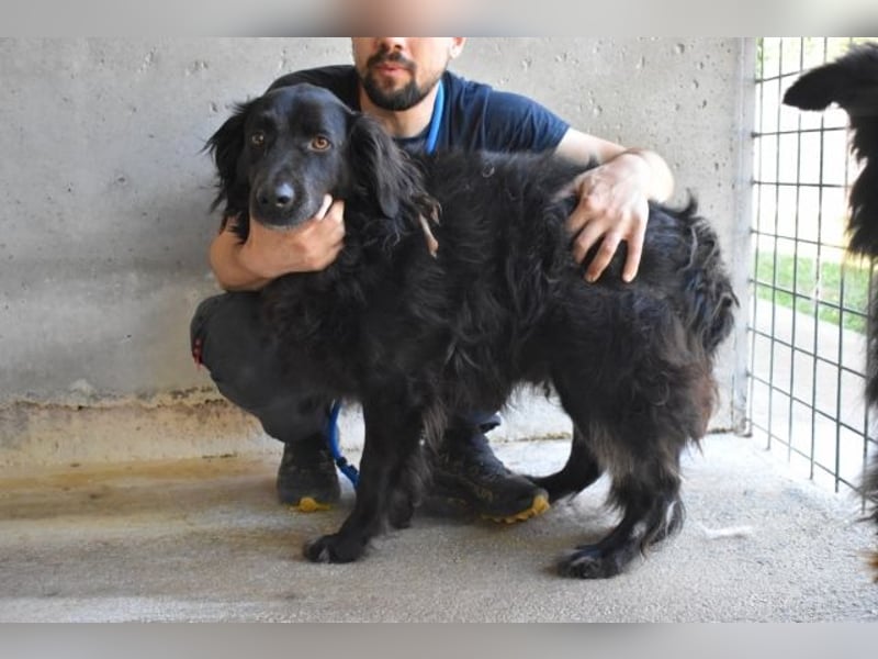 Kael - Nur ein einziges mal die Chance auf Leben