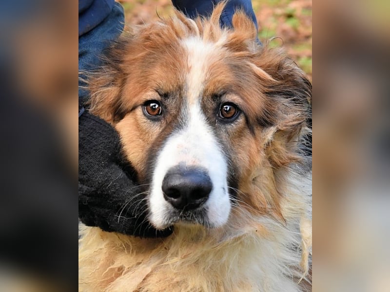 Kito - Irgendwas das bleibt