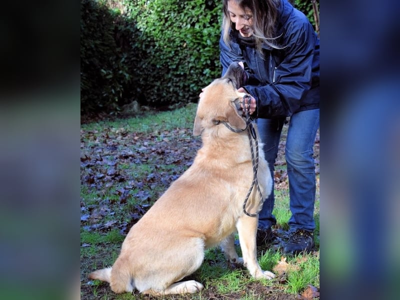 Joonas - wohin führt sein Weg?