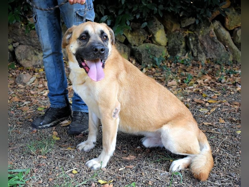 Joonas - wohin führt sein Weg?