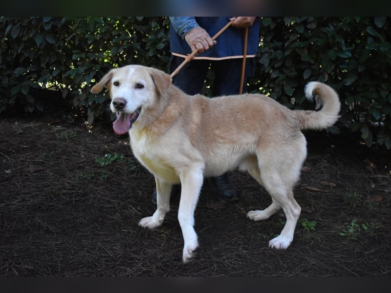 Islay - Menschenherzen-im-Sturm-Eroberer