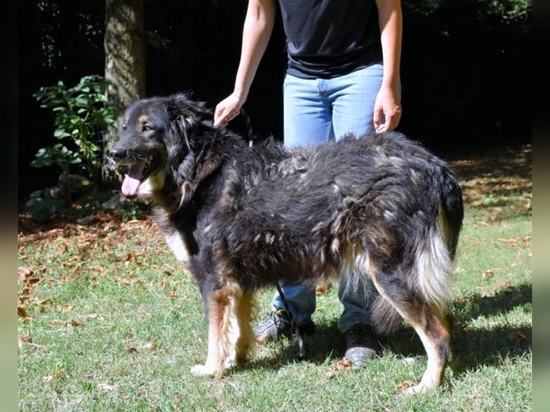 Carolita - und du - ein Dreamteam