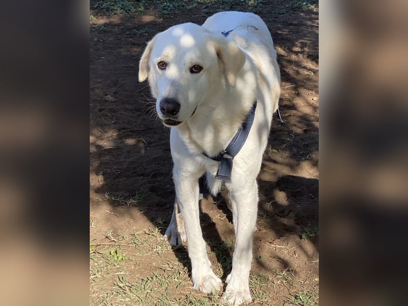 Clara - geht ihren Weg weiter