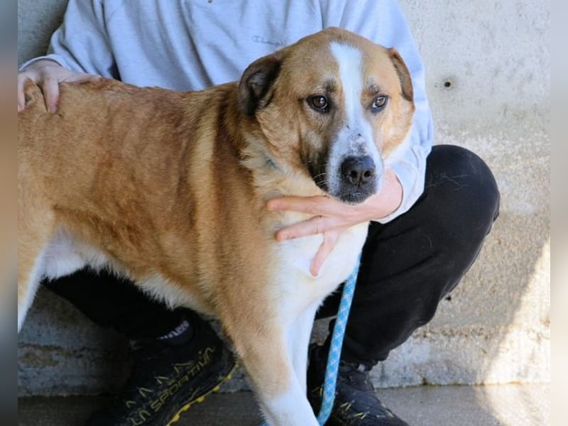 Scotlee - Drei Leben. Drei Chancen.