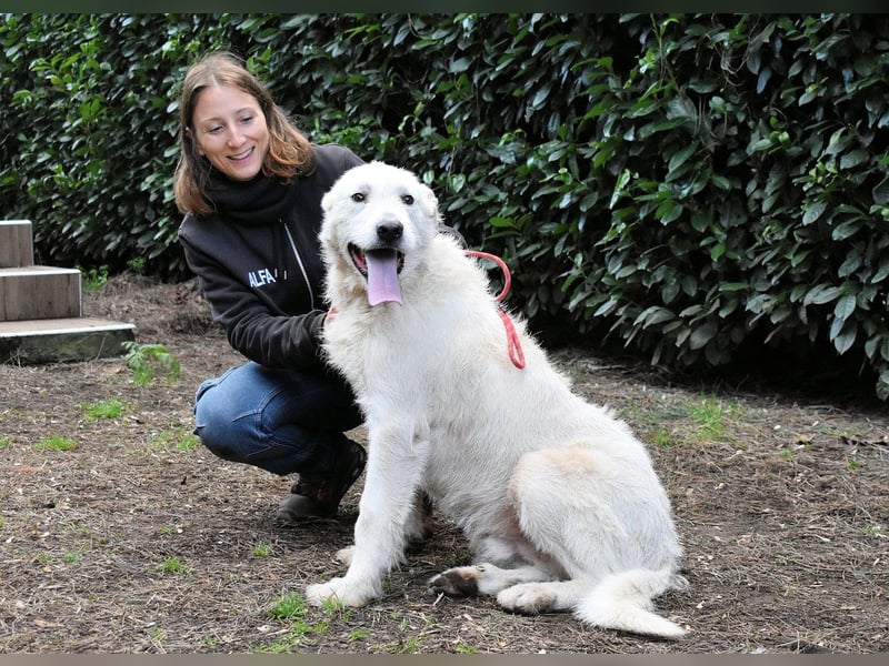 Ozlo - Riesenbaby sucht Freund fürs restliche Leben