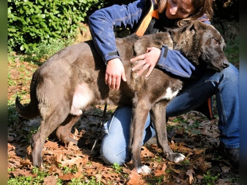 Godfried - When the night has come