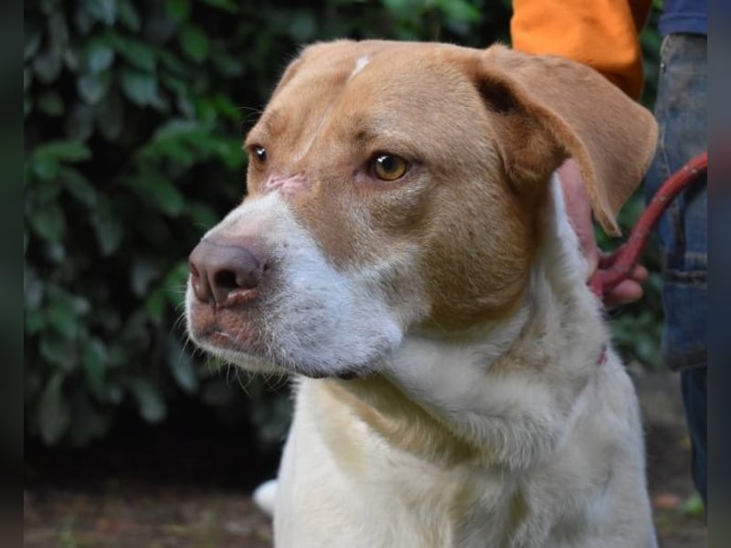 Jamison - möchte glücklich sein