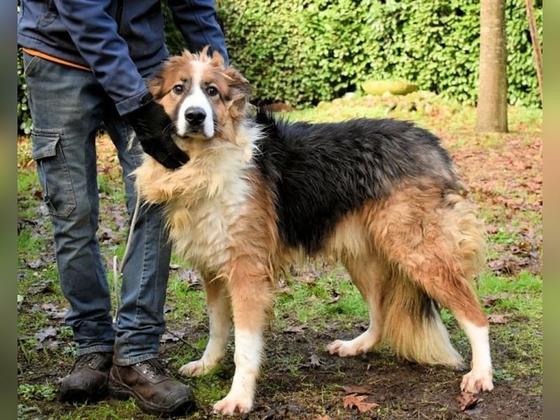 Kito - Irgendwas das bleibt