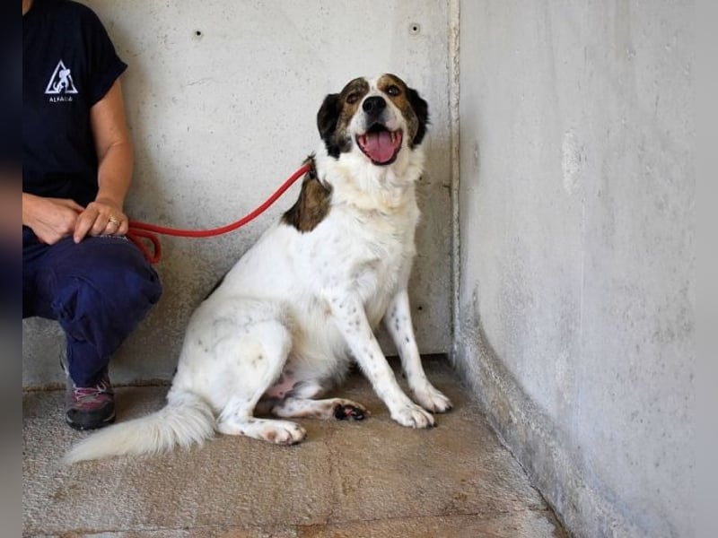 Jontar - Die Geschichte, die keiner liest