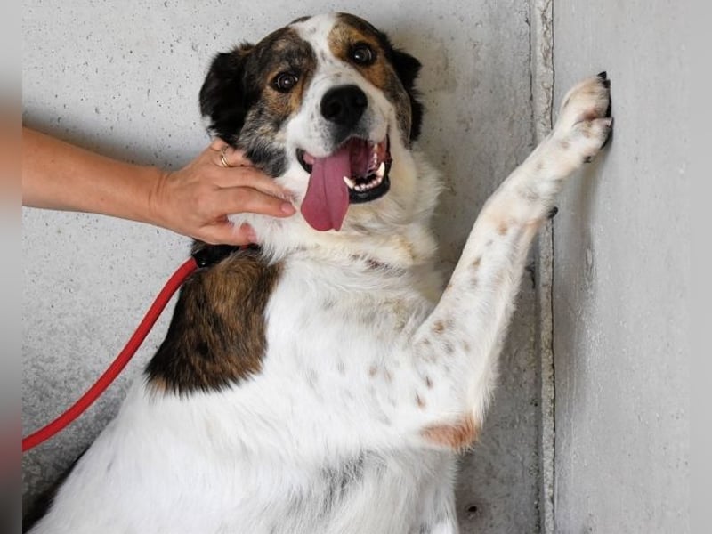 Jontar - Die Geschichte, die keiner liest