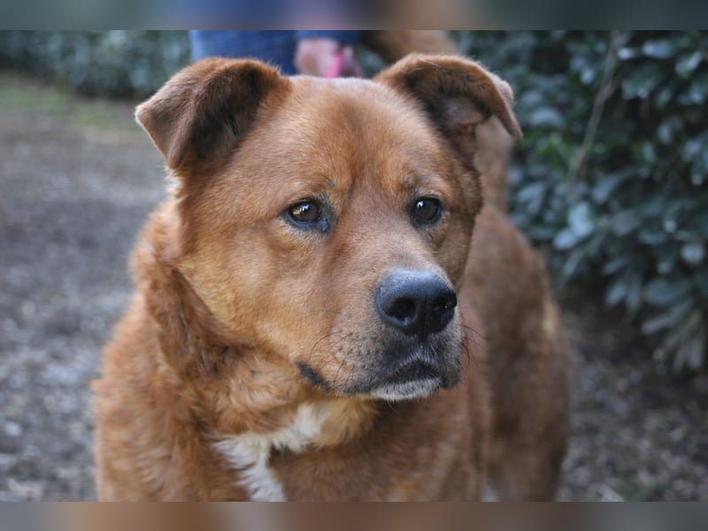 Vivaldo - ...steht vor der falschen Tür