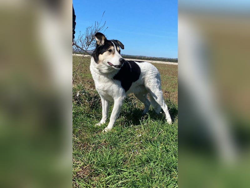 Giangy - Ich hätte da noch Kapazitäten frei