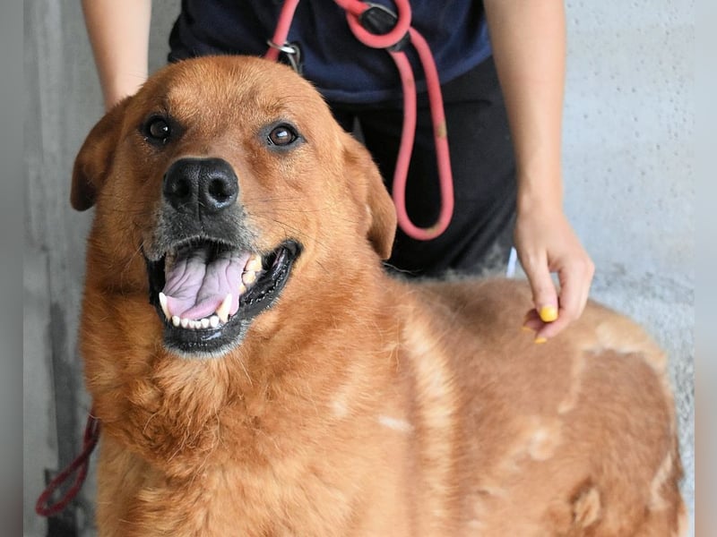 Antwin - irgendwo ist alles schön!