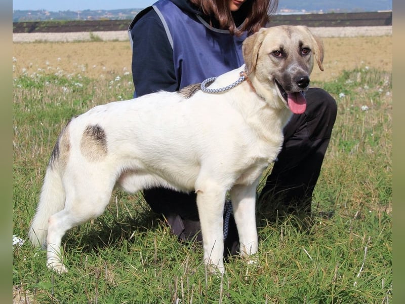 Skitter - Im gedimmten Licht, vor einer geschlossenen Tür