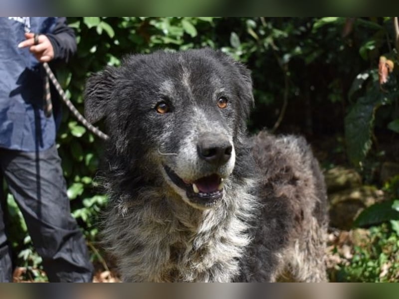 Declan - Irgendwie, irgendwo, irgendwann?